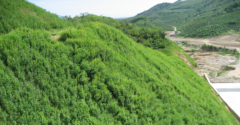 海南三亞·大隆水庫(kù)邊坡水土保持工程